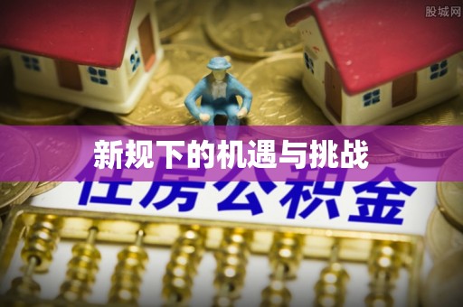 凤城新规下的机遇与挑战