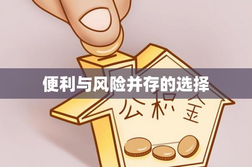 凤城便利与风险并存的选择